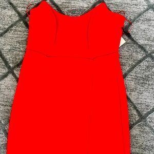 NWT Dress